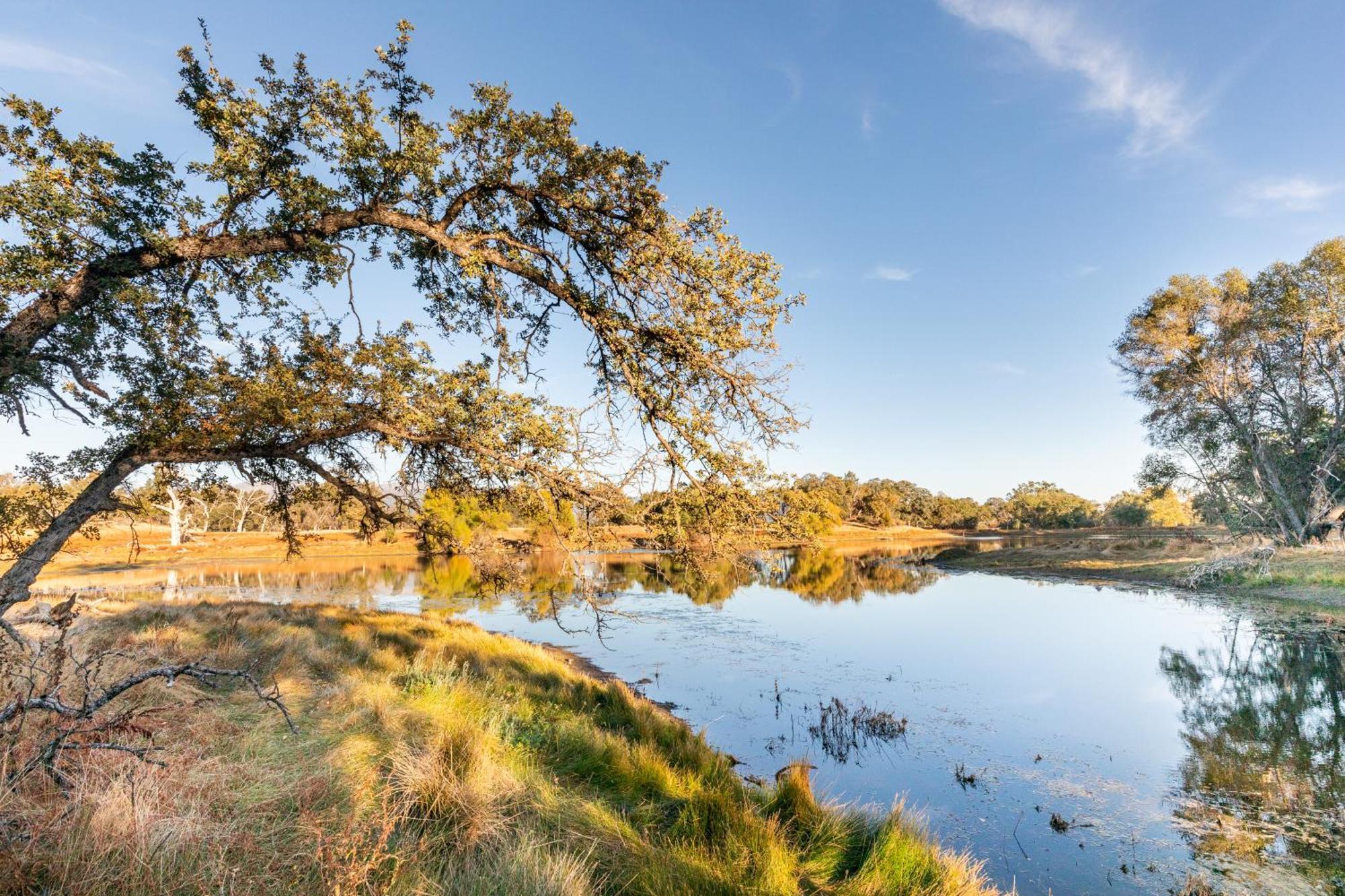 Rolling Oaks Ranch - 200 Acres Of Lakeside Beauty & Countryside Serenity Mariposa Exterior foto